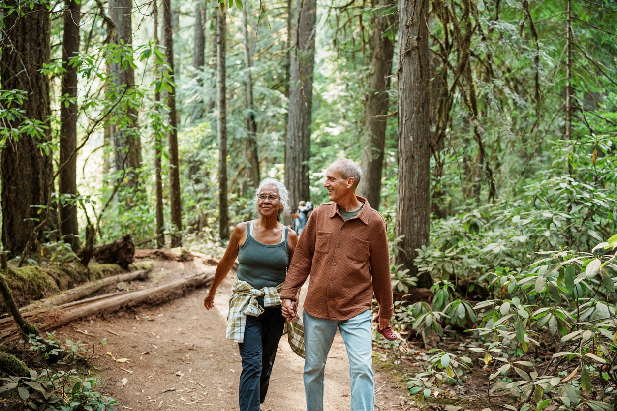 Een koppel die met pensions is is aan het wandelen in een tropisch bos