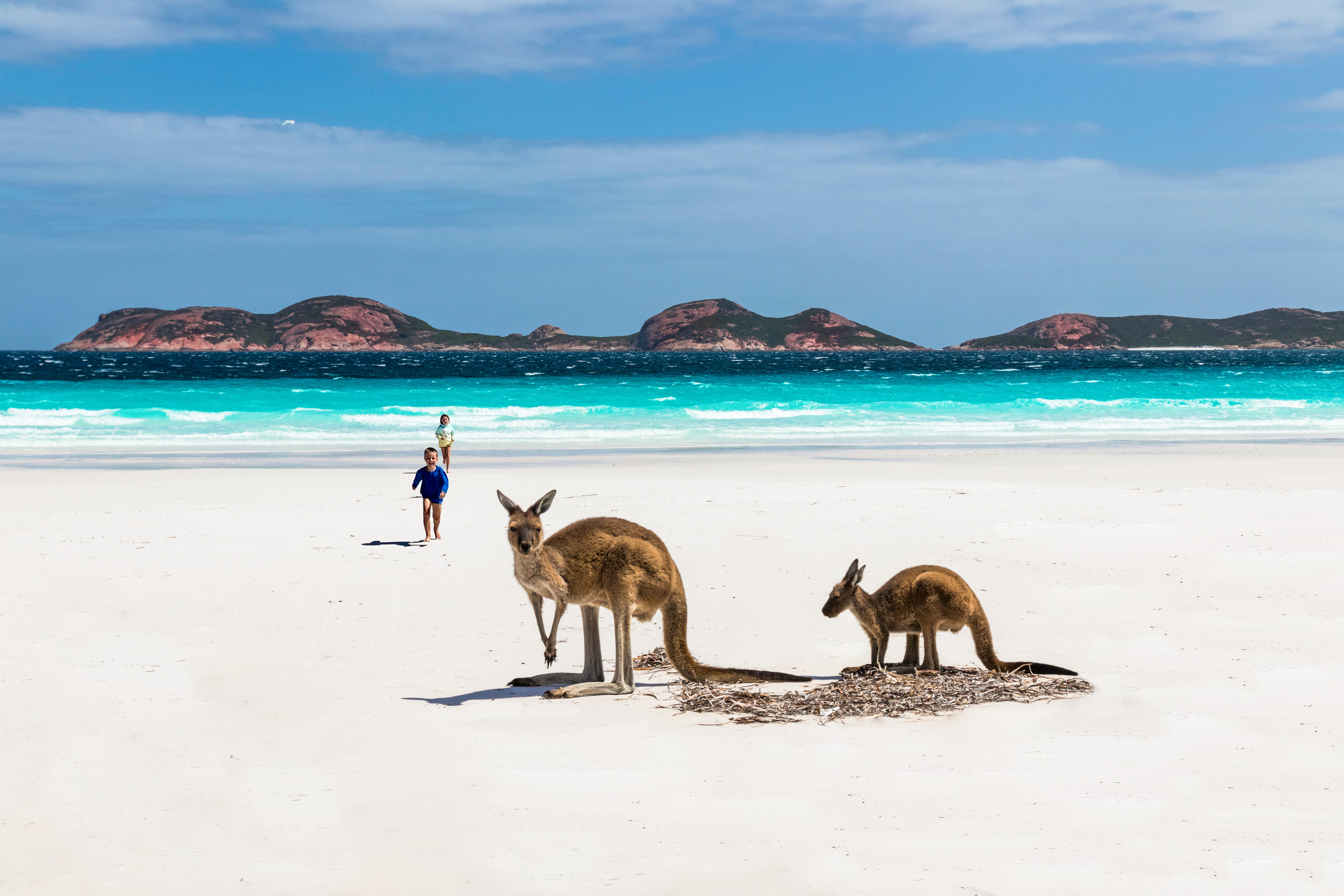 Expert aan het woord over Australië