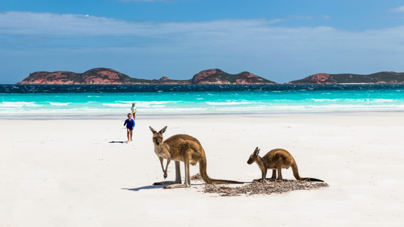 Expert aan het woord over Australië