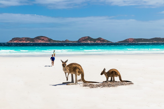 Expert aan het woord over Australië