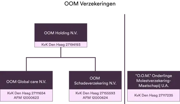Organizational structure