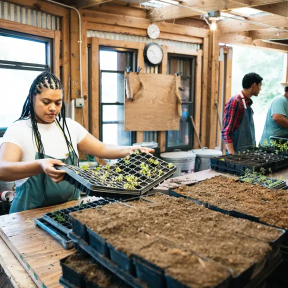 Onderrnemen in het Buitenland
