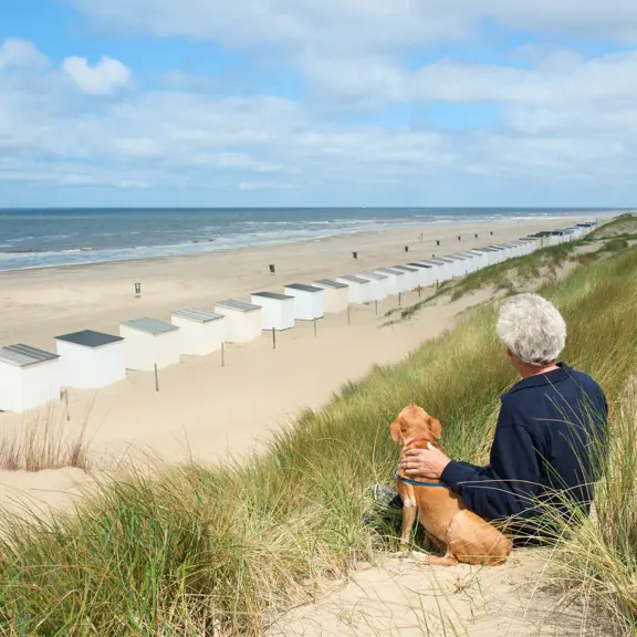 Strandhuisje verzekeren