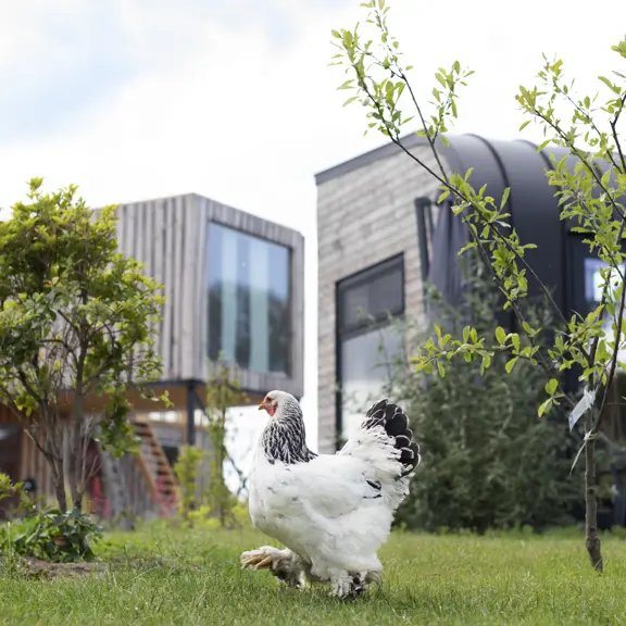 Tiny house verzekeren