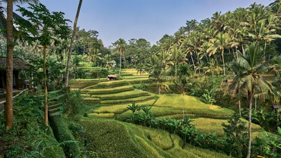 Bali